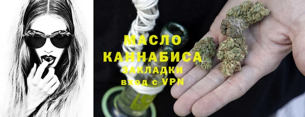 стаф Верея