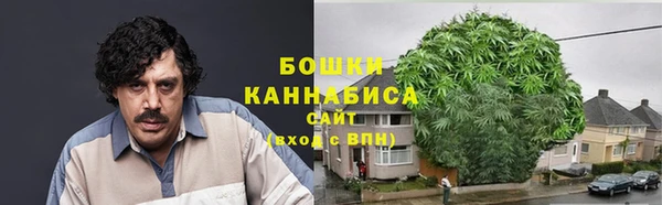 стаф Верея