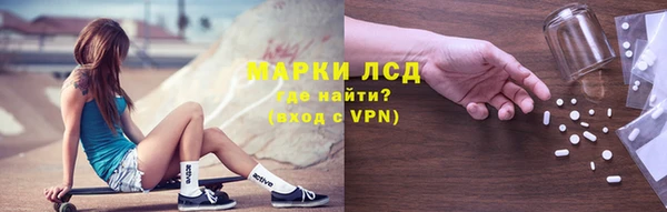 стаф Верея