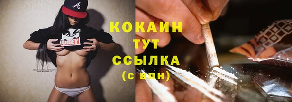 стаф Верея