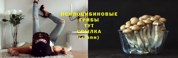 стаф Верея