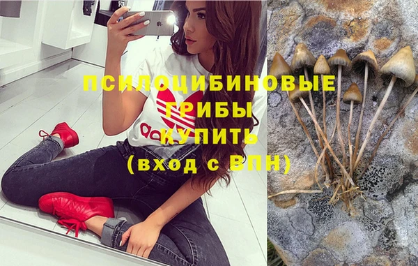дмт Верхний Тагил
