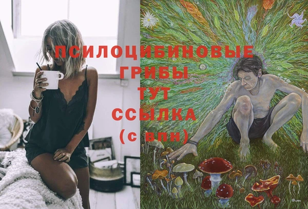 стаф Верея