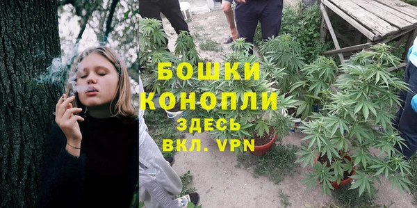 стаф Верея
