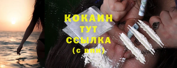 стаф Верея