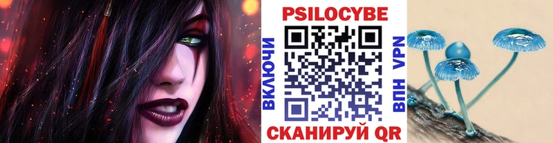 Купить закладки  Вышний Волочёк  Галлюциногенные грибы Psilocybine cubensis 